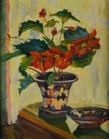 Potted Poinsettia