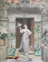 The Doves