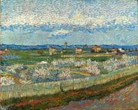 Peach Trees in Blossom