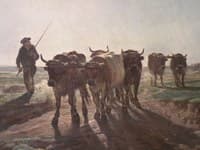Going to Work