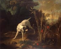 Dog Pointing a Partridge