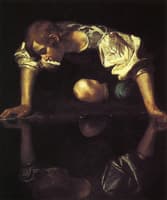 Narcissus