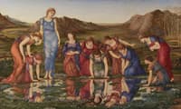 The Mirror of Venus