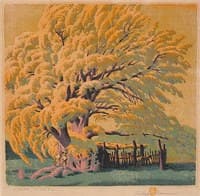 Winter Corral