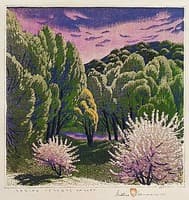 Spring,Tesuque Valley