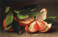 Still Life with Tangerine