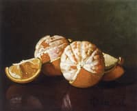 Still Life with Oranges