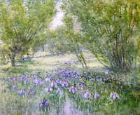 Landscape with Irises