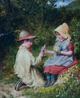 Wild Flowers