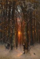 Sunset Through the Trees