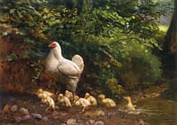Maternal Instinct