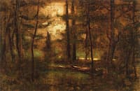 Evening Landscape