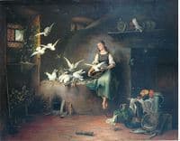 Feeding Doves
