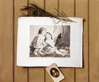 Peacock Feather, Print and Photograph