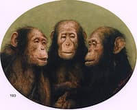 Les Trois Graces