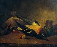 Study of Wild Duck