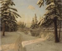 Winter Sunlight