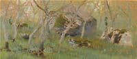 Woodland Study