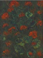Geraniums