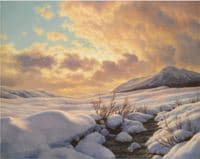 Mountain Stream