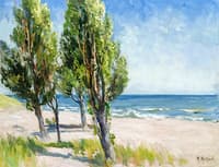 Landscape at the Beach