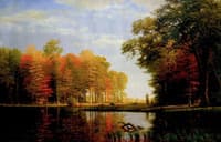 Autumn Woods