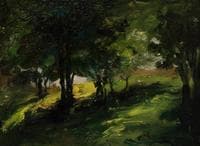 Study of Central Park