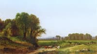 Cattle in Pasture