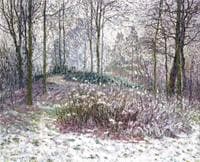 Park under the snow