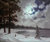 Winter Moonlight