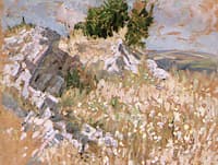 Coastal Landscape
