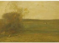 Sprawling Fields