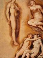 Nude Figure Studies