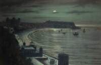 Moonlight Coastal Scene