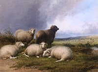 Sheep in a Landscape