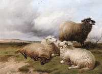 Sleep Resting in a Landscape