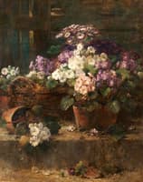 Flower Pots