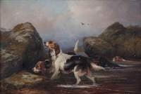 Dogs