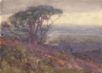 A Moorland View