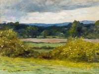 In My Fields