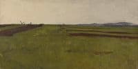 Fields