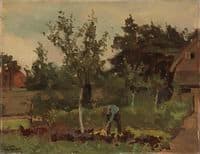 Kitchen Garden