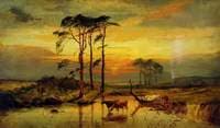 Sunset with Cattle