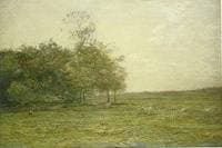 A Summer Morning