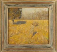 Autumn Field