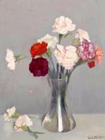 Carnations