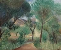 Undergrowth in Provence