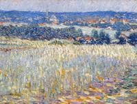 Flowering Fields near St. Job, Uccle, Belgium