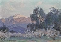 Evening Glow, Mt. San Jacinto, Almond Trees