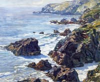 Morning Light, The Coast